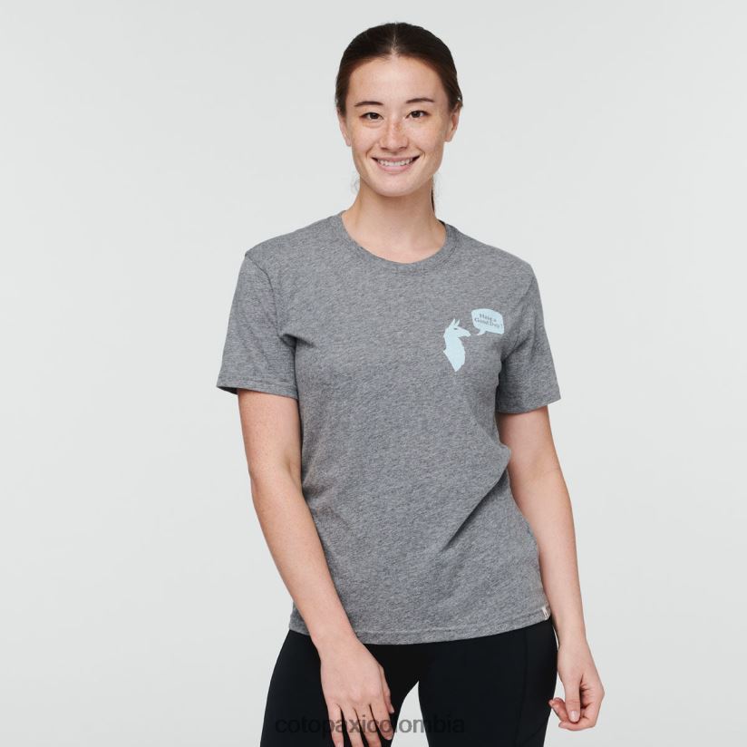 Cotopaxi que tengas un buen día camiseta mujer cuero gris XN60D268 ropa